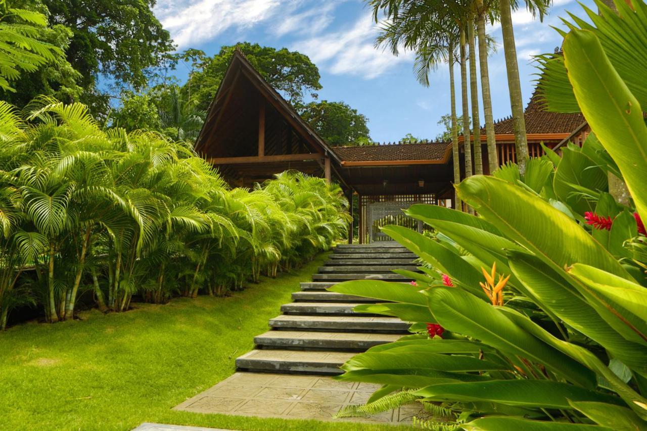 Hotel La Coralina Island House à Bocas del Toro Extérieur photo
