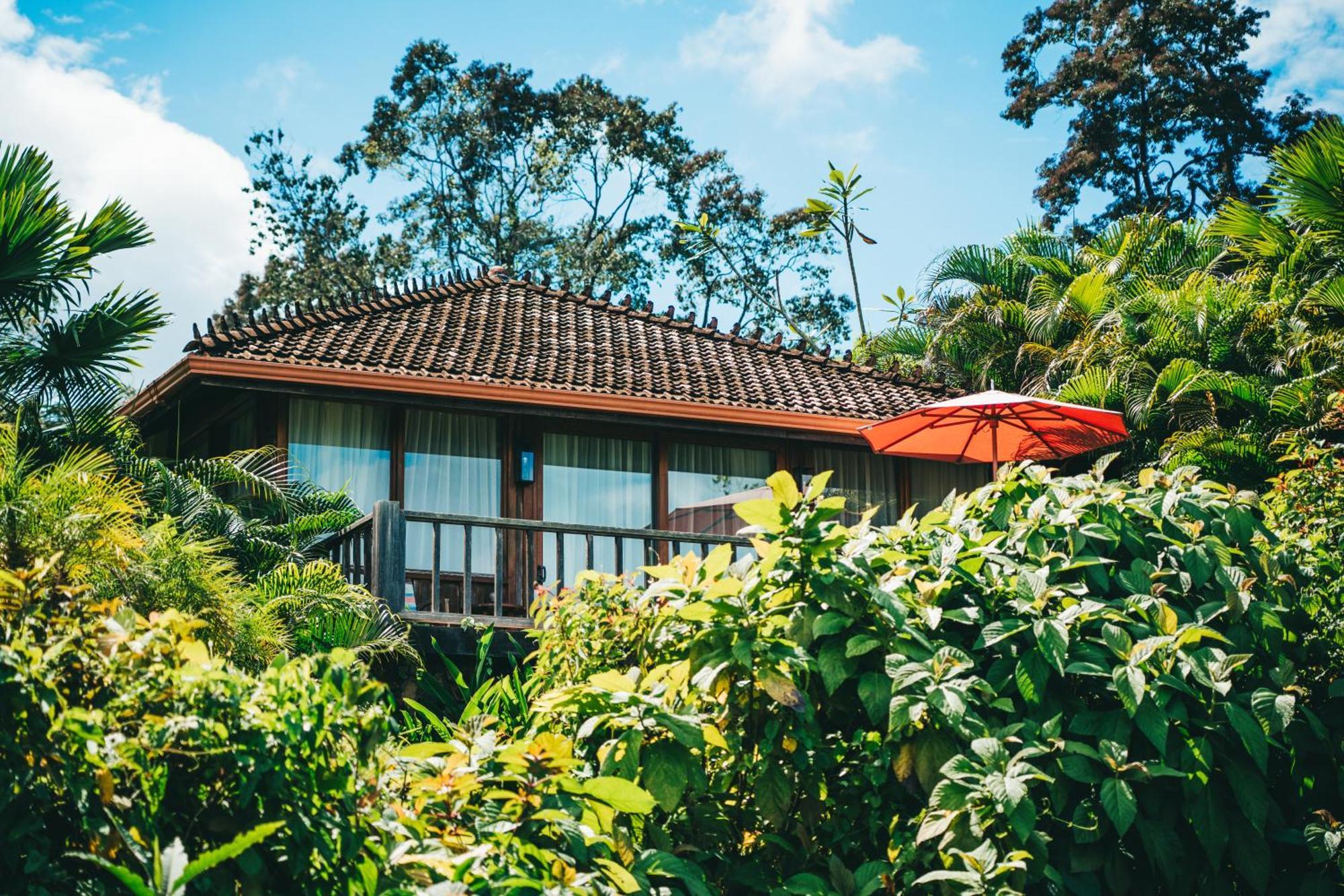 Hotel La Coralina Island House à Bocas del Toro Extérieur photo